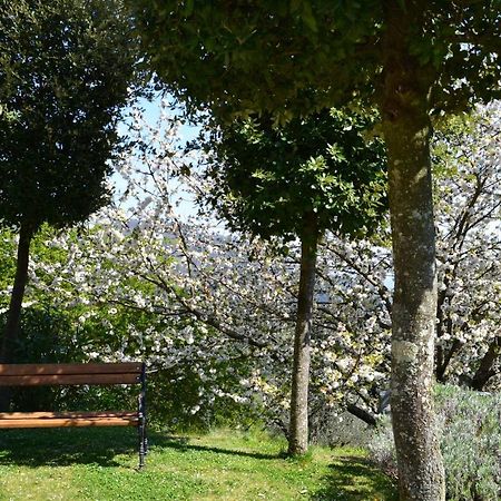 Villa Monte A Pescia Exterior foto