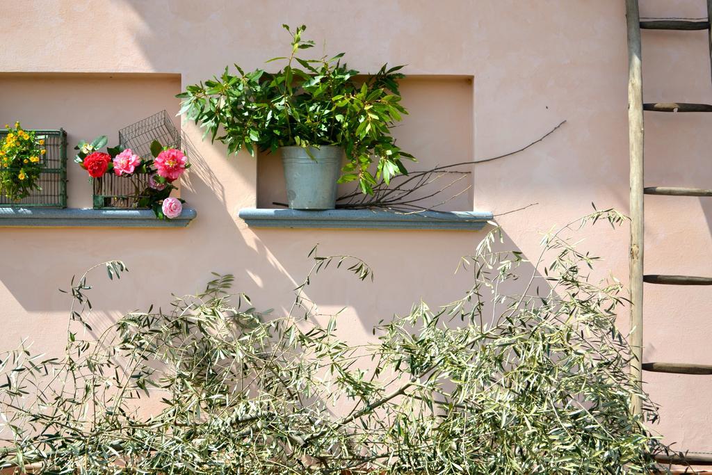 Villa Monte A Pescia Exterior foto