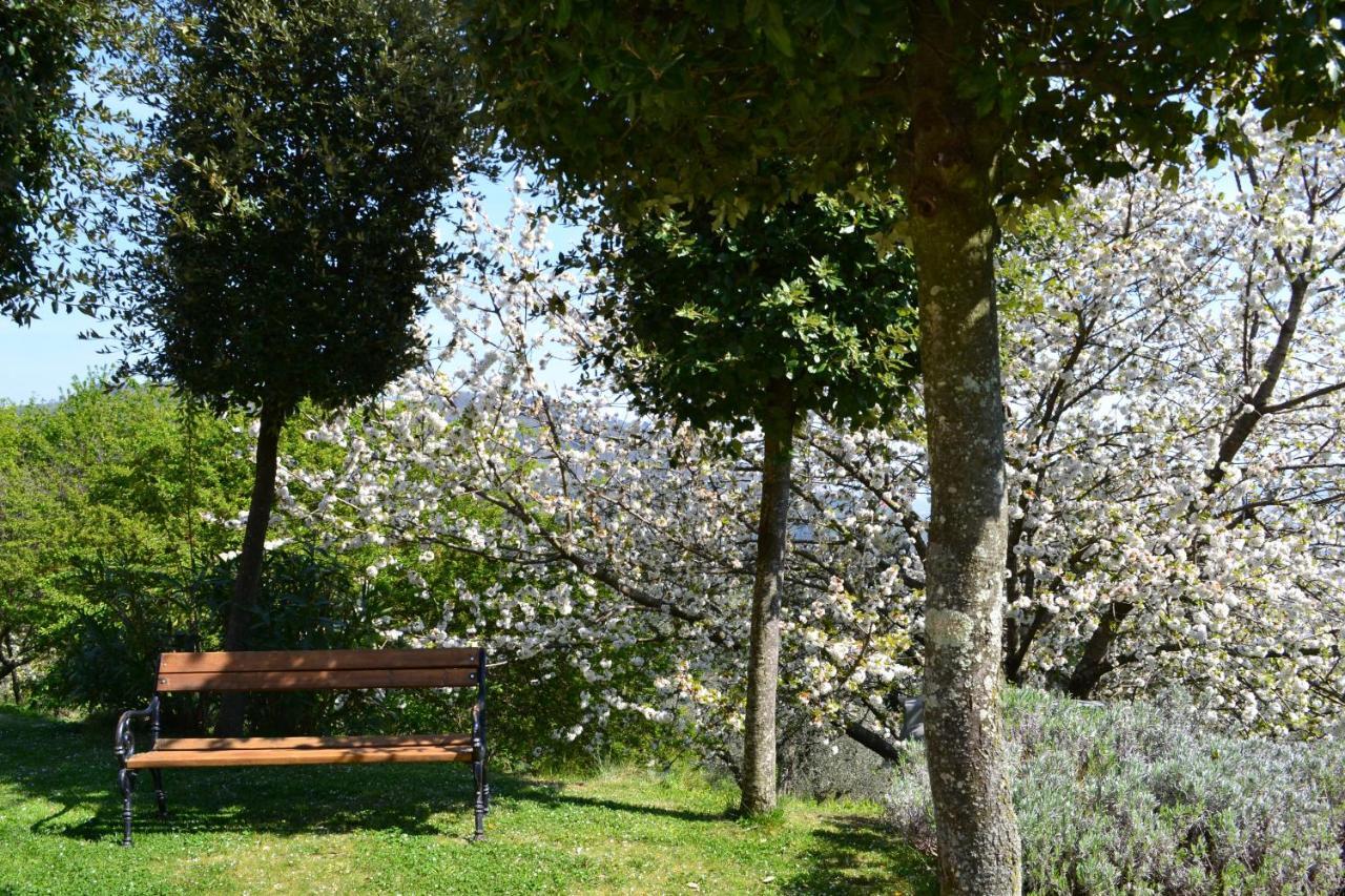 Villa Monte A Pescia Exterior foto